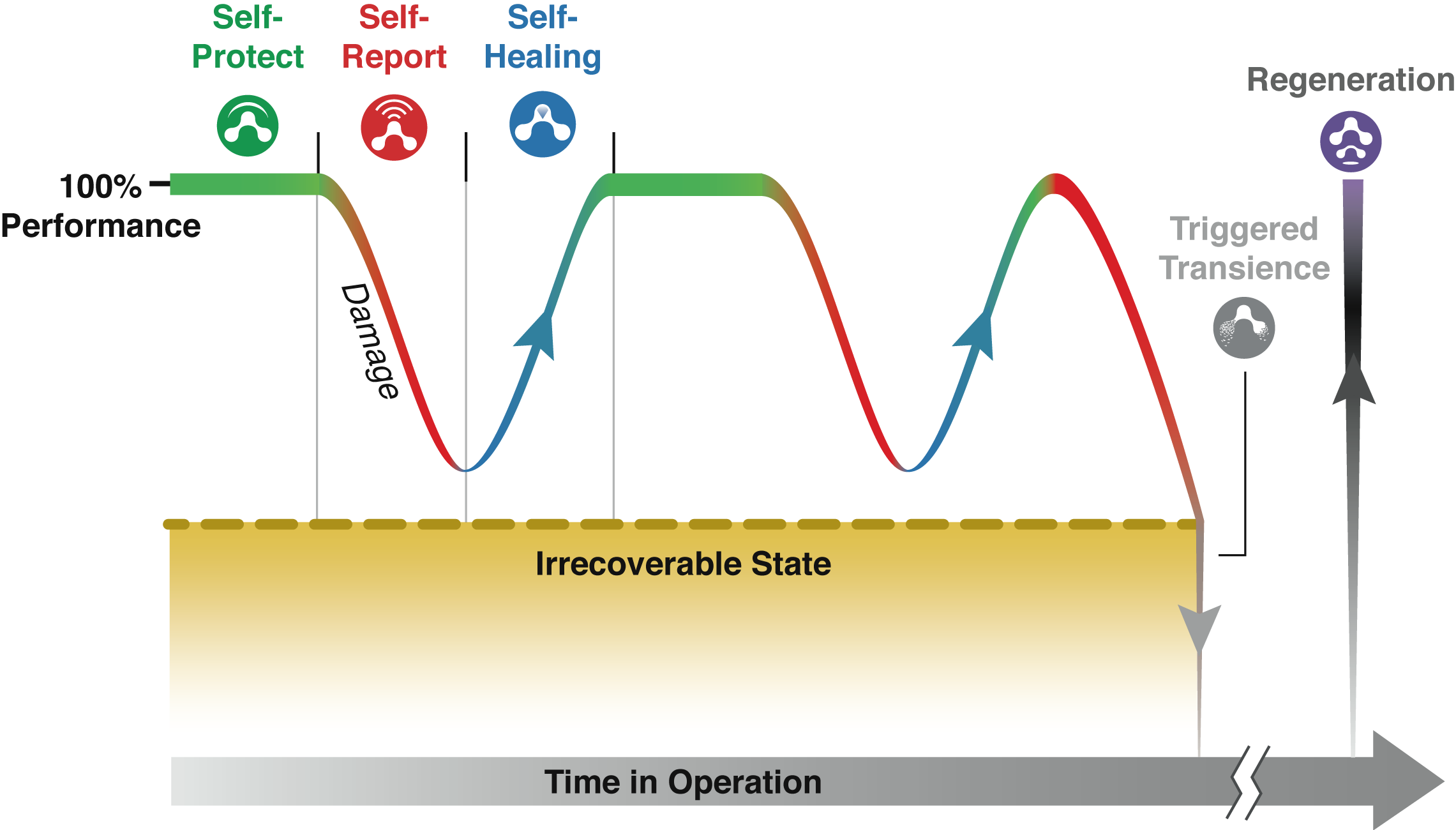 graphic of the  lifecycle  of  polymers with  autonomous  function